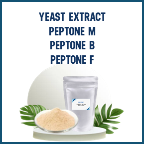 Nhóm Sản Phẩm Peptone + Yeast