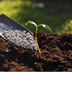 Agricultural Chemicals
